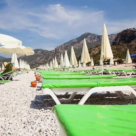 Hotel Daisy Garden
